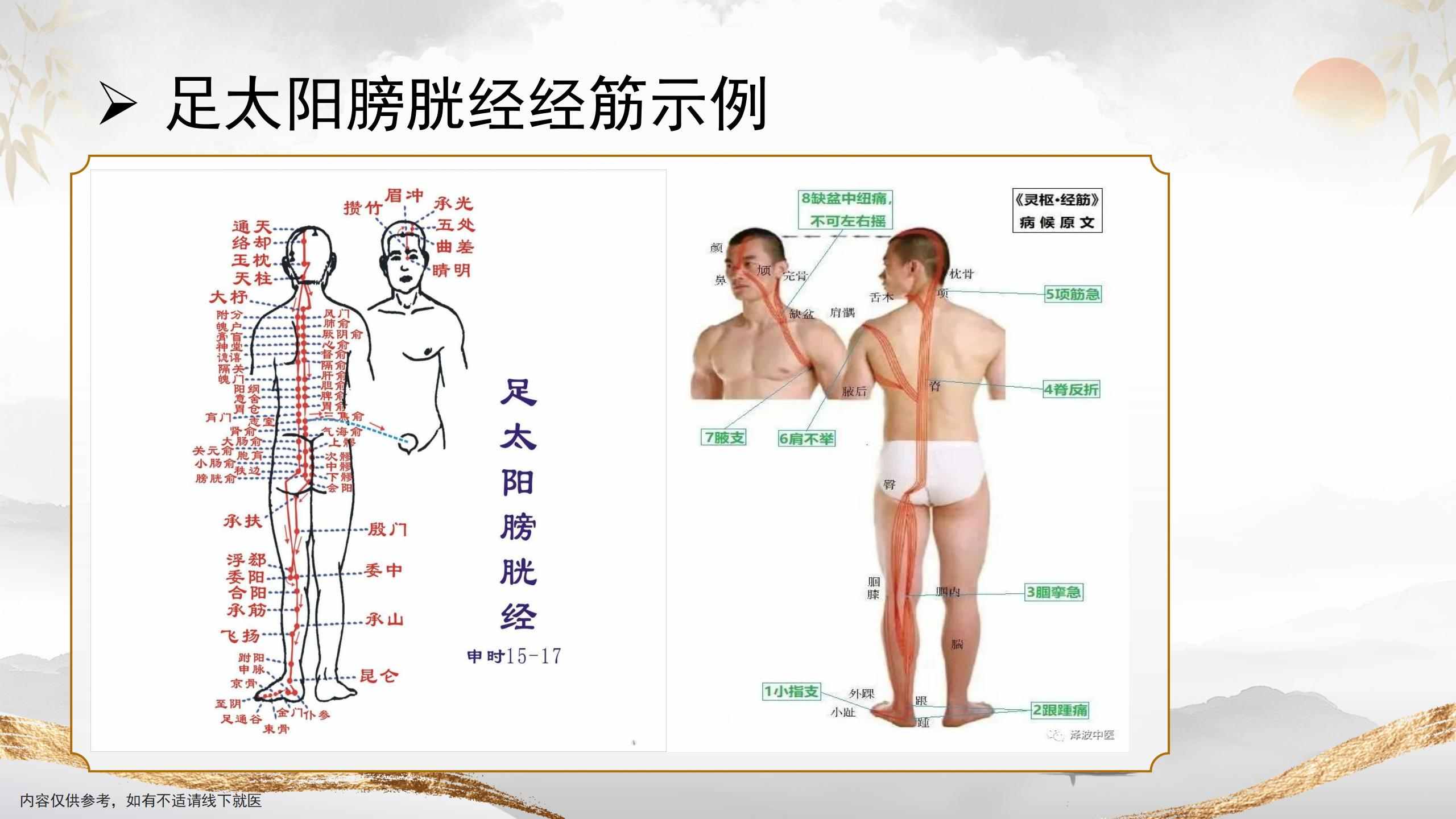 寻经经络图6.jpg